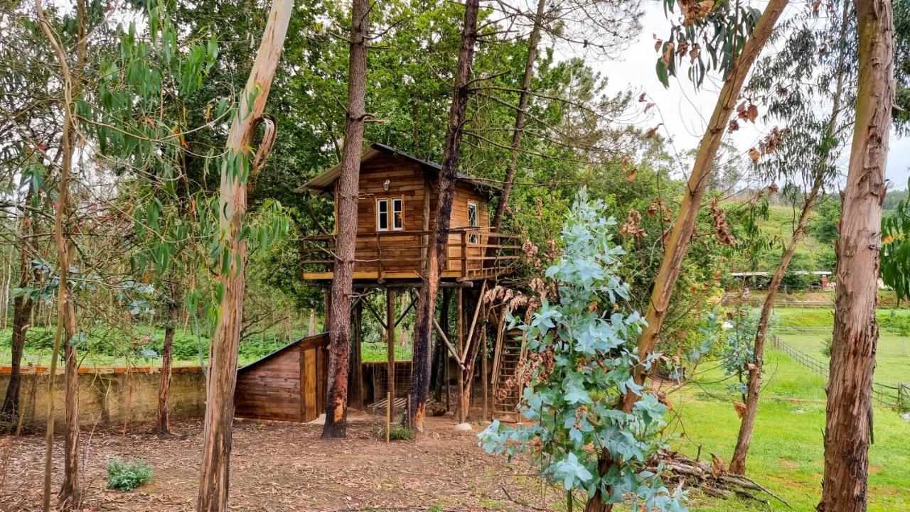 Vale Da Silva Villas - Quinta Albergaria-a-Velha Exteriér fotografie