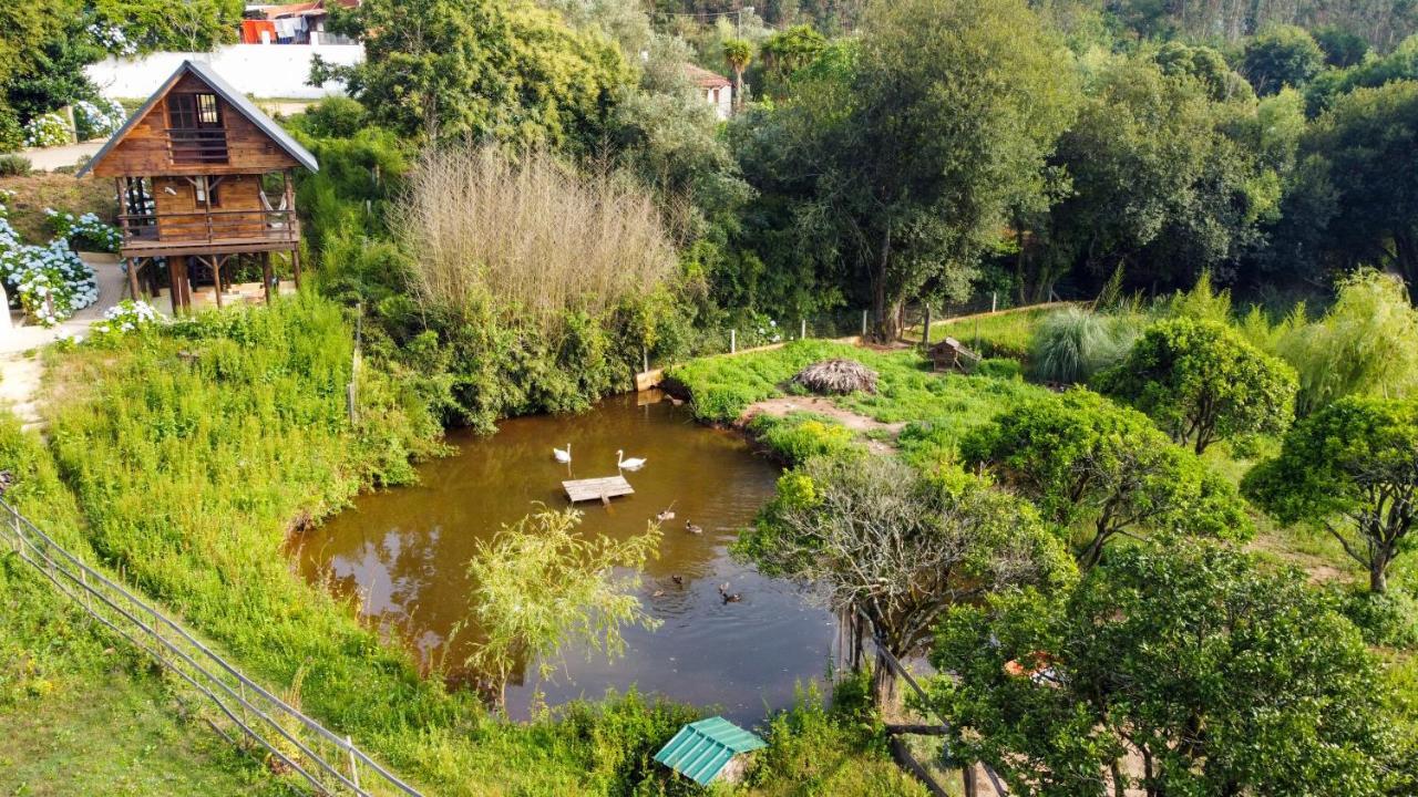 Vale Da Silva Villas - Quinta Albergaria-a-Velha Exteriér fotografie