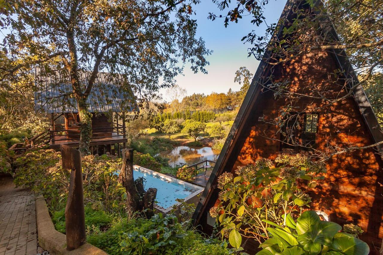 Vale Da Silva Villas - Quinta Albergaria-a-Velha Exteriér fotografie