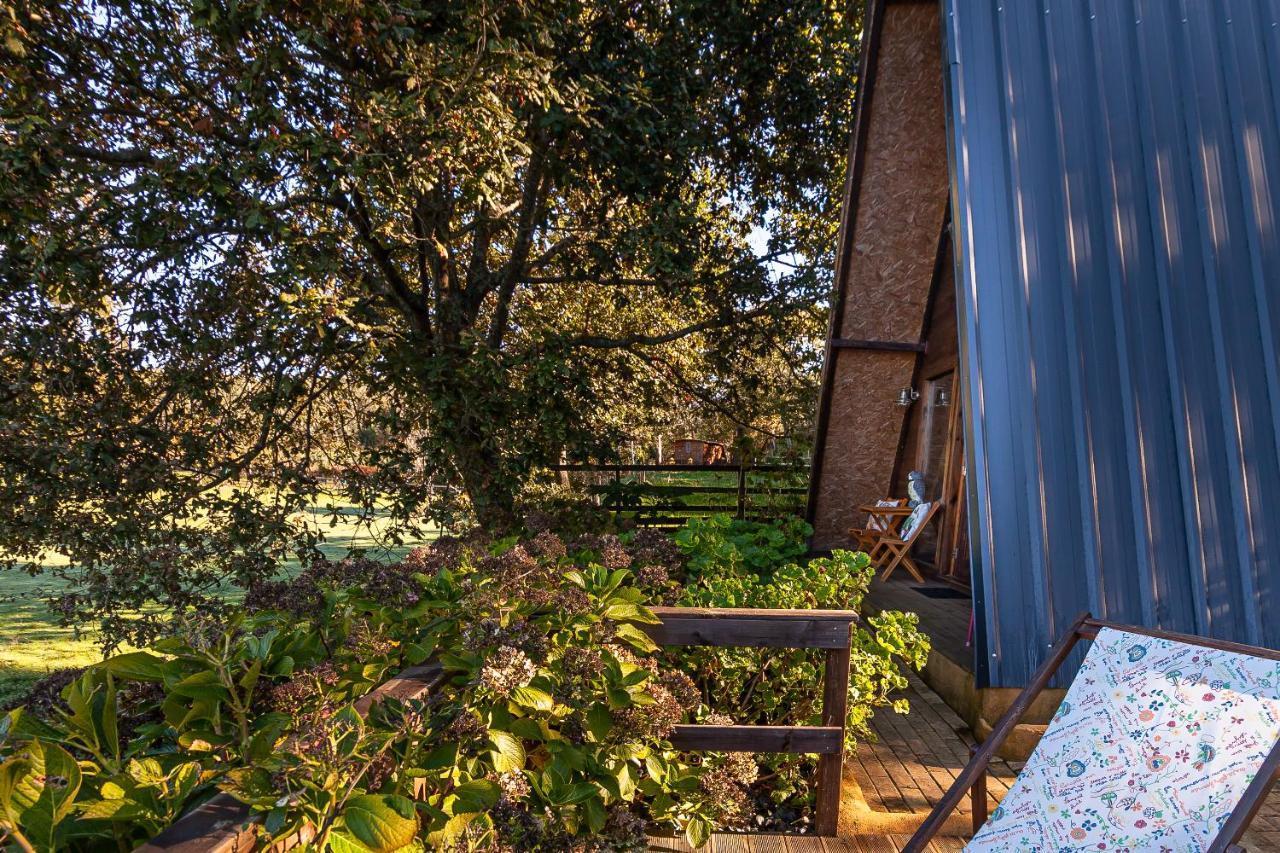 Vale Da Silva Villas - Quinta Albergaria-a-Velha Exteriér fotografie
