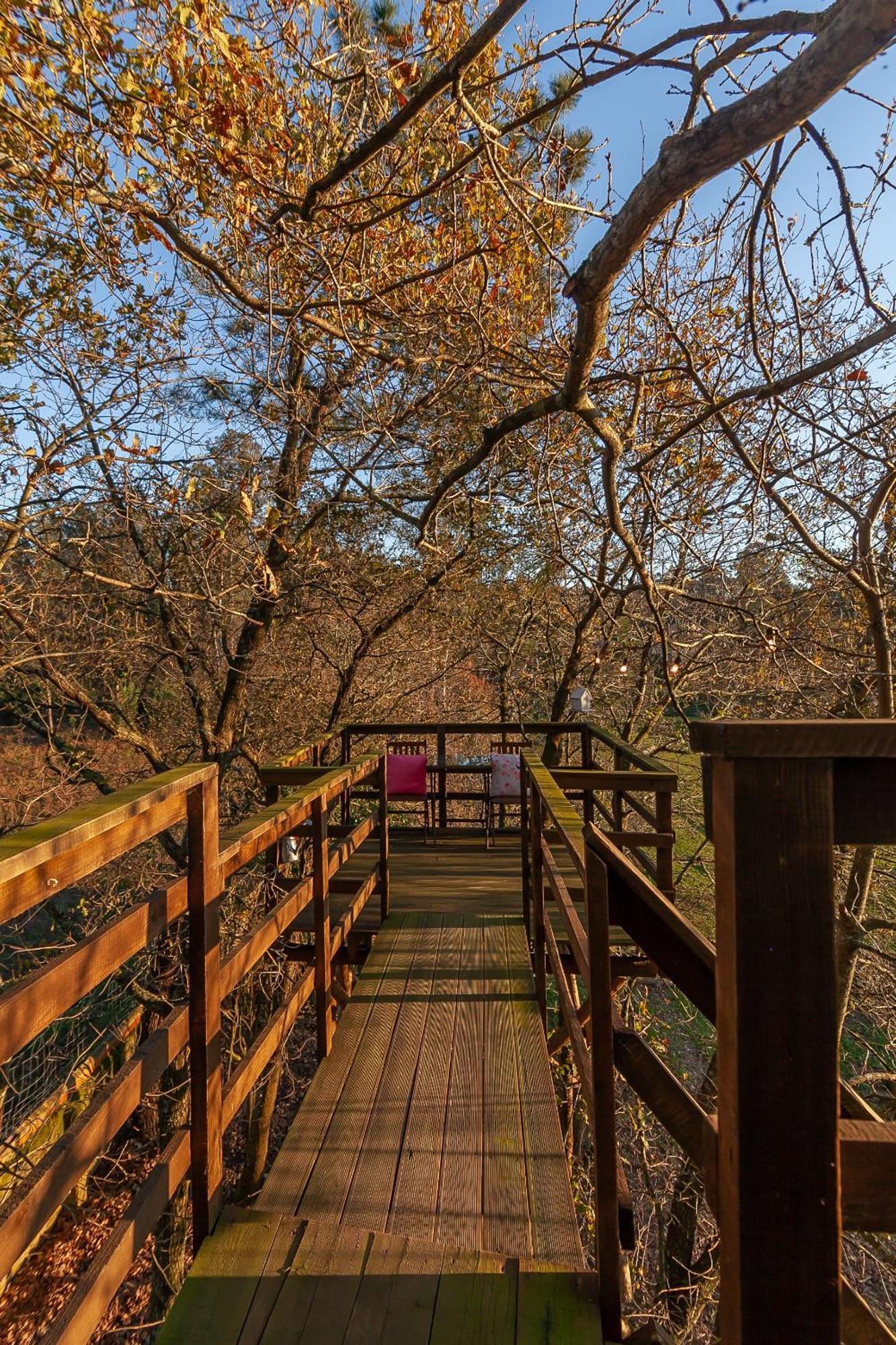 Vale Da Silva Villas - Quinta Albergaria-a-Velha Pokoj fotografie